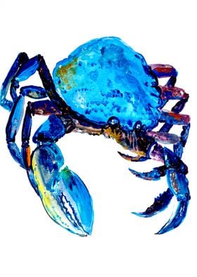 Nautical - blue crab 