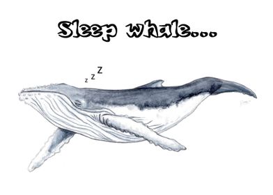 Sleep whale well