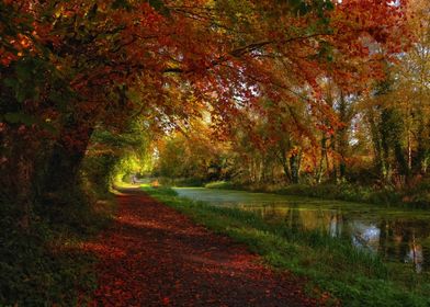 autumn trails