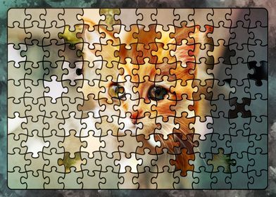 Puzzle kitten
