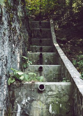 Rocky stairs in a forest
