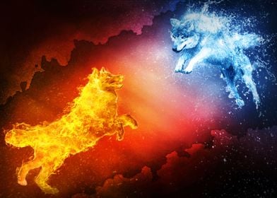 Fire vs Water Wolf
