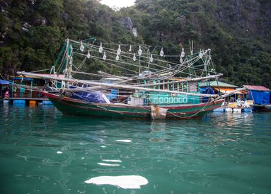 Vietnam Ha Long Bay Boat