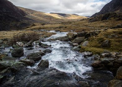 Welsh Mountain Stream 2