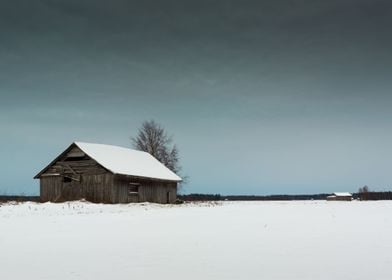 Dark Sky And White Snow