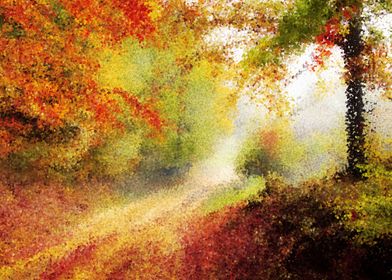 autumn maple forest