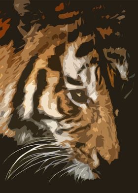 Tiger Pop Art Design