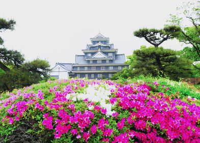 Castle in Okayama
