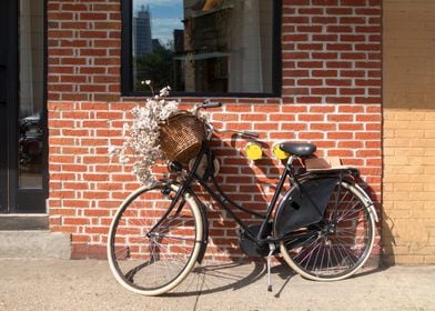 bicycle basket flowers