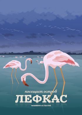 Lefkada, Flamingos