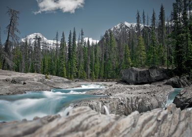 Creek in Canada