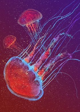 Mystical Jellyfishes