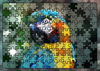 Puzzle parrot