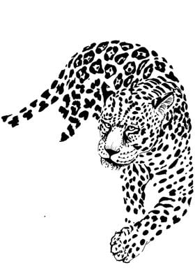 leopard graphic