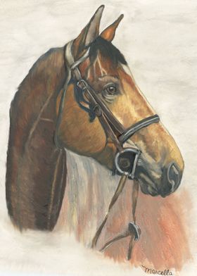 Horse in Profile