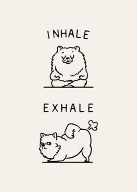 Inhale Exhale Pomeranian