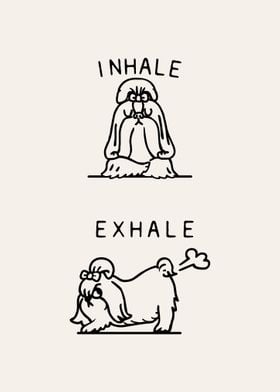 Inhale Exhale Shih Tzu