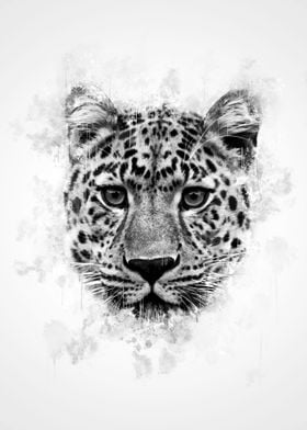 Leopard Head BW