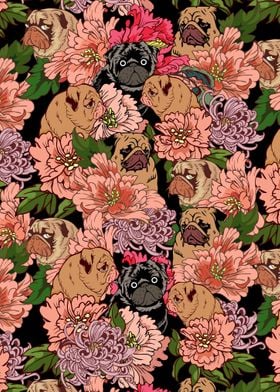 Because Pugs