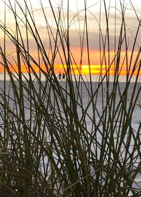 A Walk on the Beach