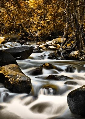 River in autumn