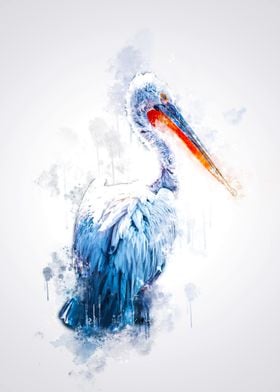 Pelican