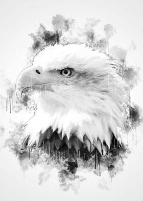 Eagle Head BW