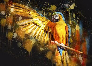 Parrot Art