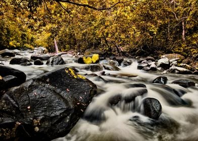 River in autumn