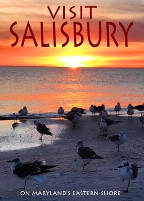 Visit Salisbury