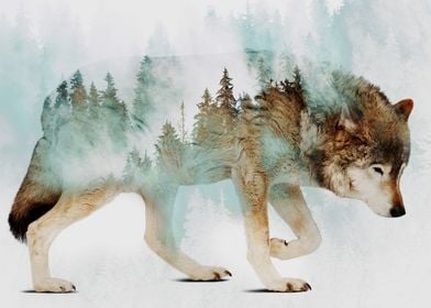 Wolf and Forest 6