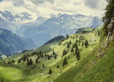 Swiss Alps Landscape