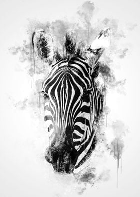 Zebra Head Black and White