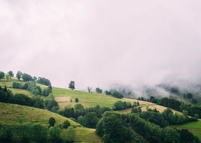 Foggy Hills In Schwarzwald