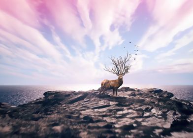 deer on cliff