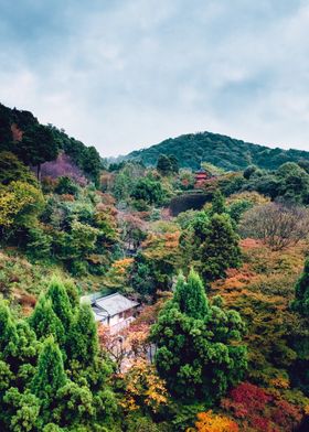 Atumn in Kyoto