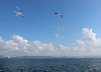 Sea and sky