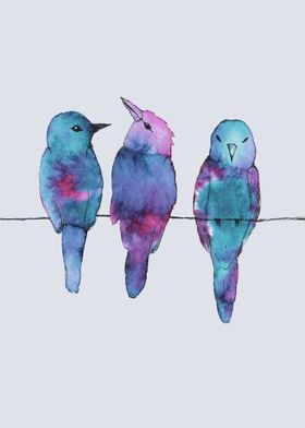 Three birds on a wire