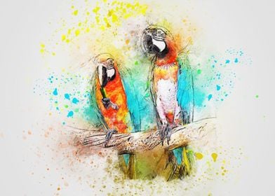Couple Parrot Art