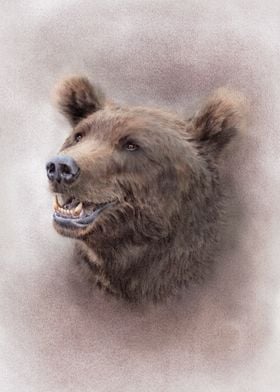 Brown bear animal portrait
