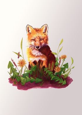 Fox Among The Dandelions