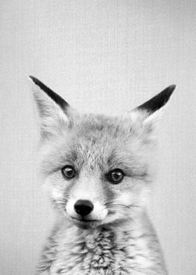 Baby Fox BW