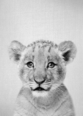 Baby Lion BW