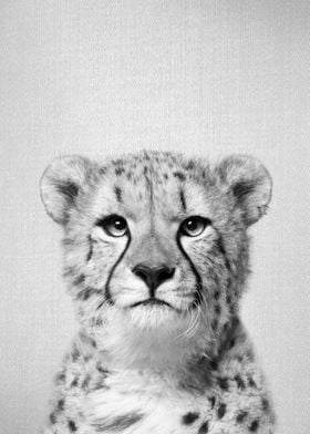 Cheetah BW