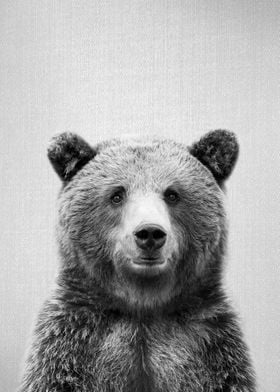 Grizzly Bear BW