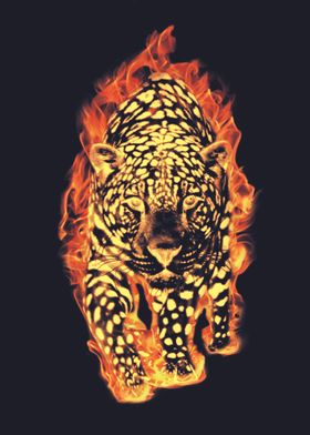 fire leopard