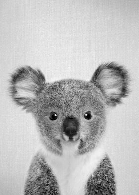 Baby Koala BW