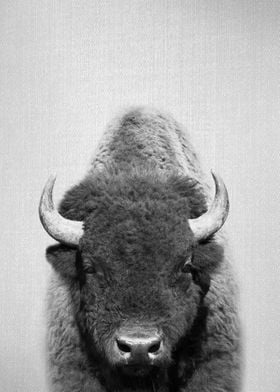 Buffalo BW