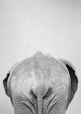 Elephant Tail BW