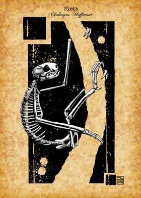 Sloth Skeleton